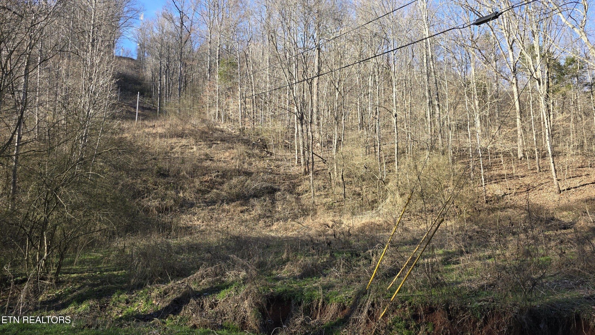 0 Red Ankle Road Sweetwater, TN 37874 - Photo 30 of 32 Gallery Image 30