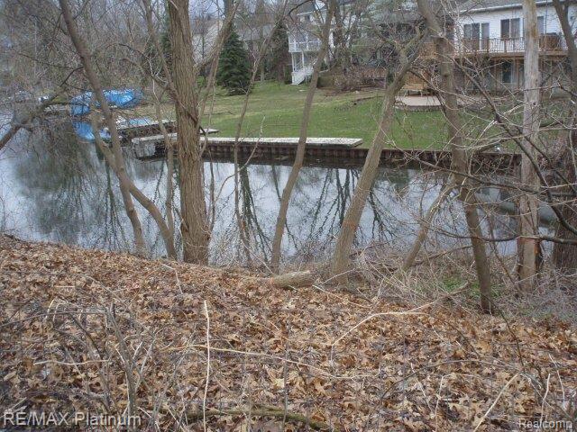 Vl Benstein Road Commerce Township, MI 48382 - Photo 12 of 14 P4160021