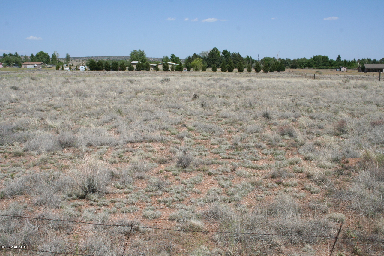 25355 North Patricia Road, Unit NONE Paulden, AZ 86334 - Photo 5 of 5 IMG_8846