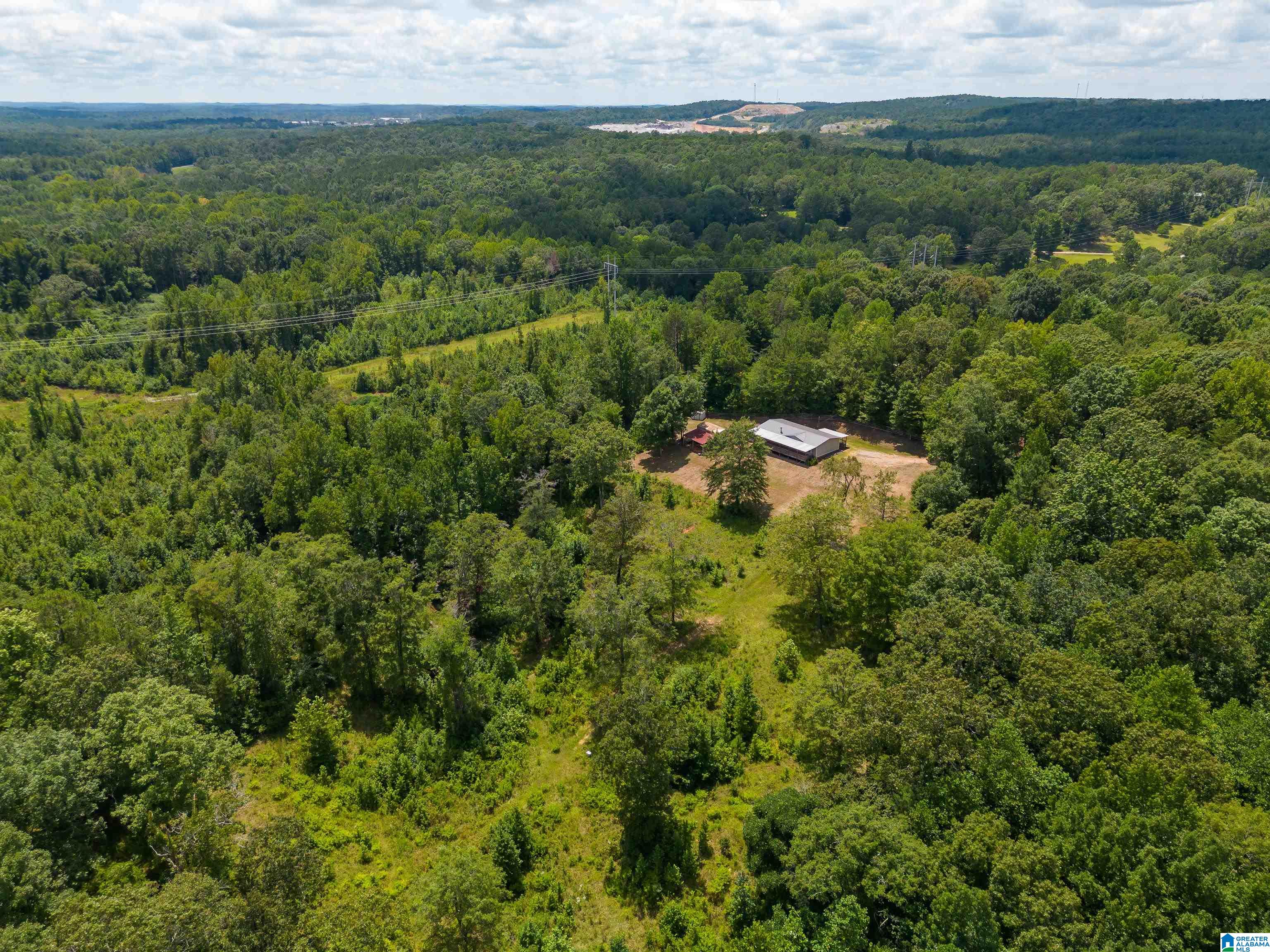 1042 Story Road Woodstock, AL 35188 - Photo 9 of 33