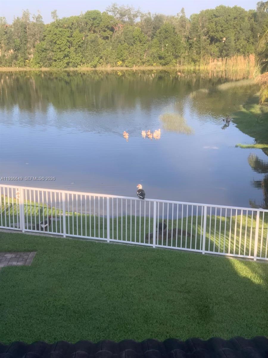 3884 Southwest 150th Court Miami, FL 33185 - Photo 43 of 45 a view of a lake with a garden