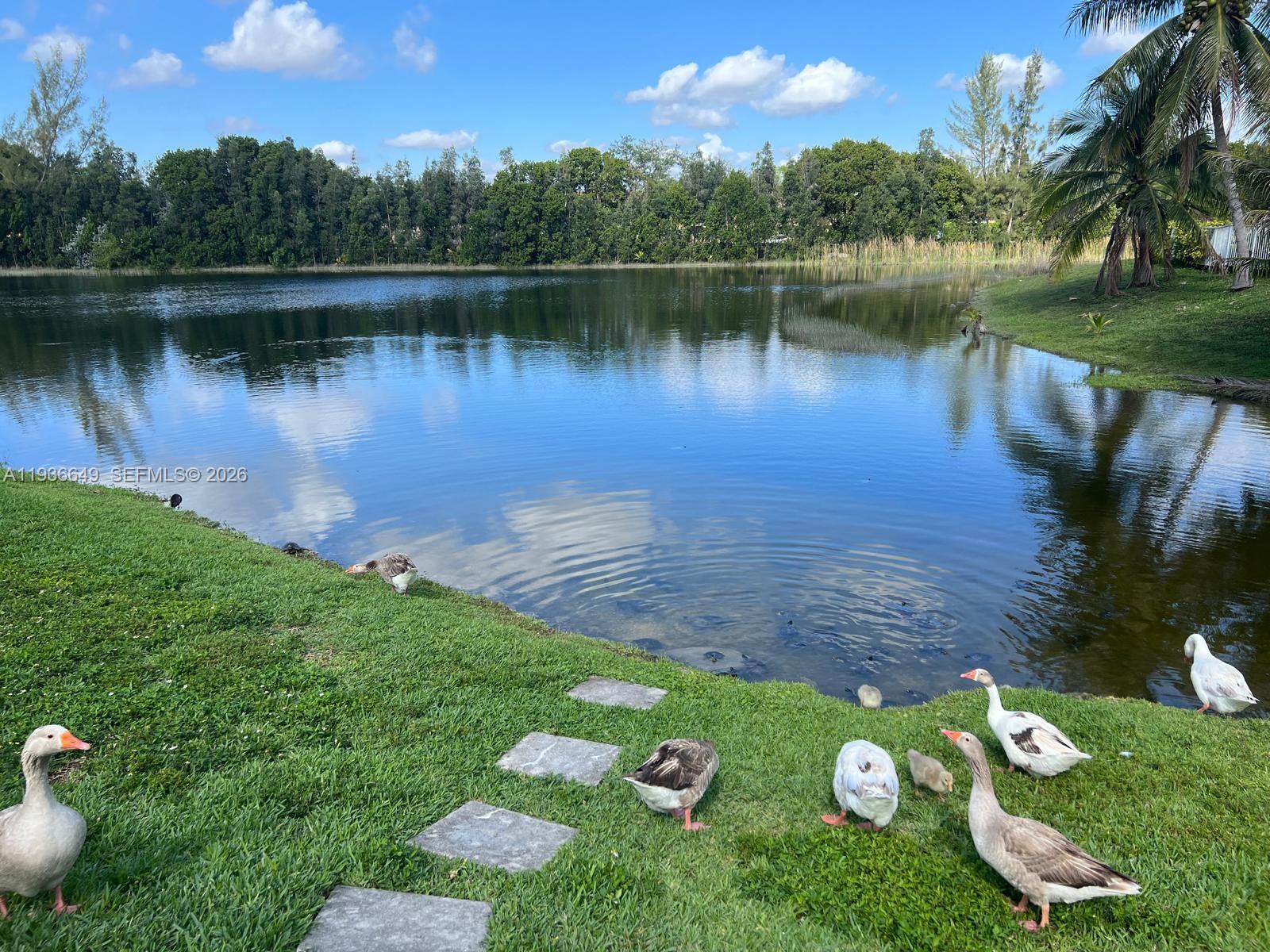 3884 Southwest 150th Court Miami, FL 33185 - Photo 44 of 45 a view of a lake with a yard