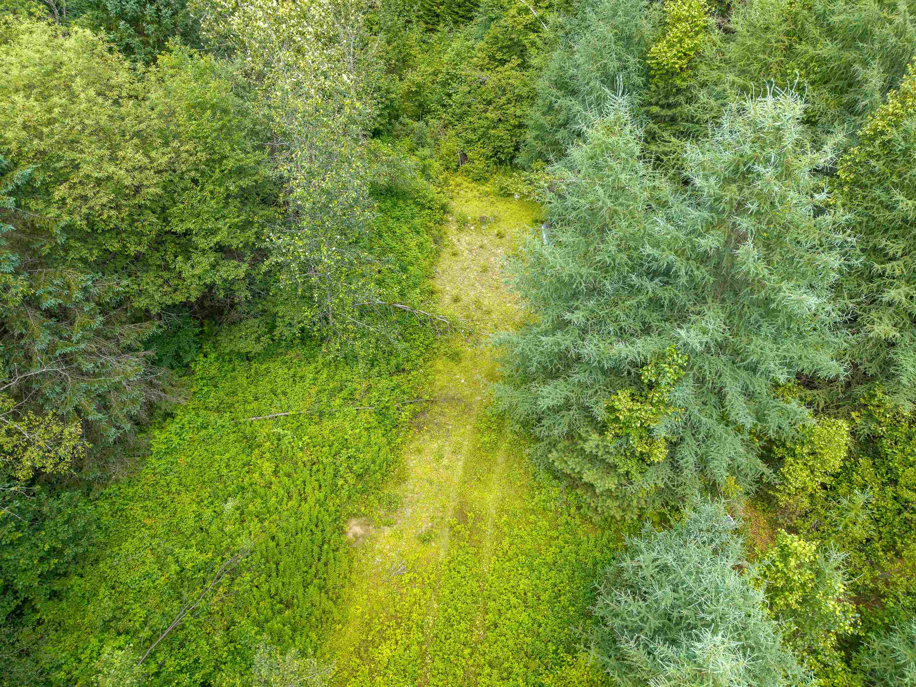 31 Privacy Lane Concord, VT 05824 - Photo 11 of 11