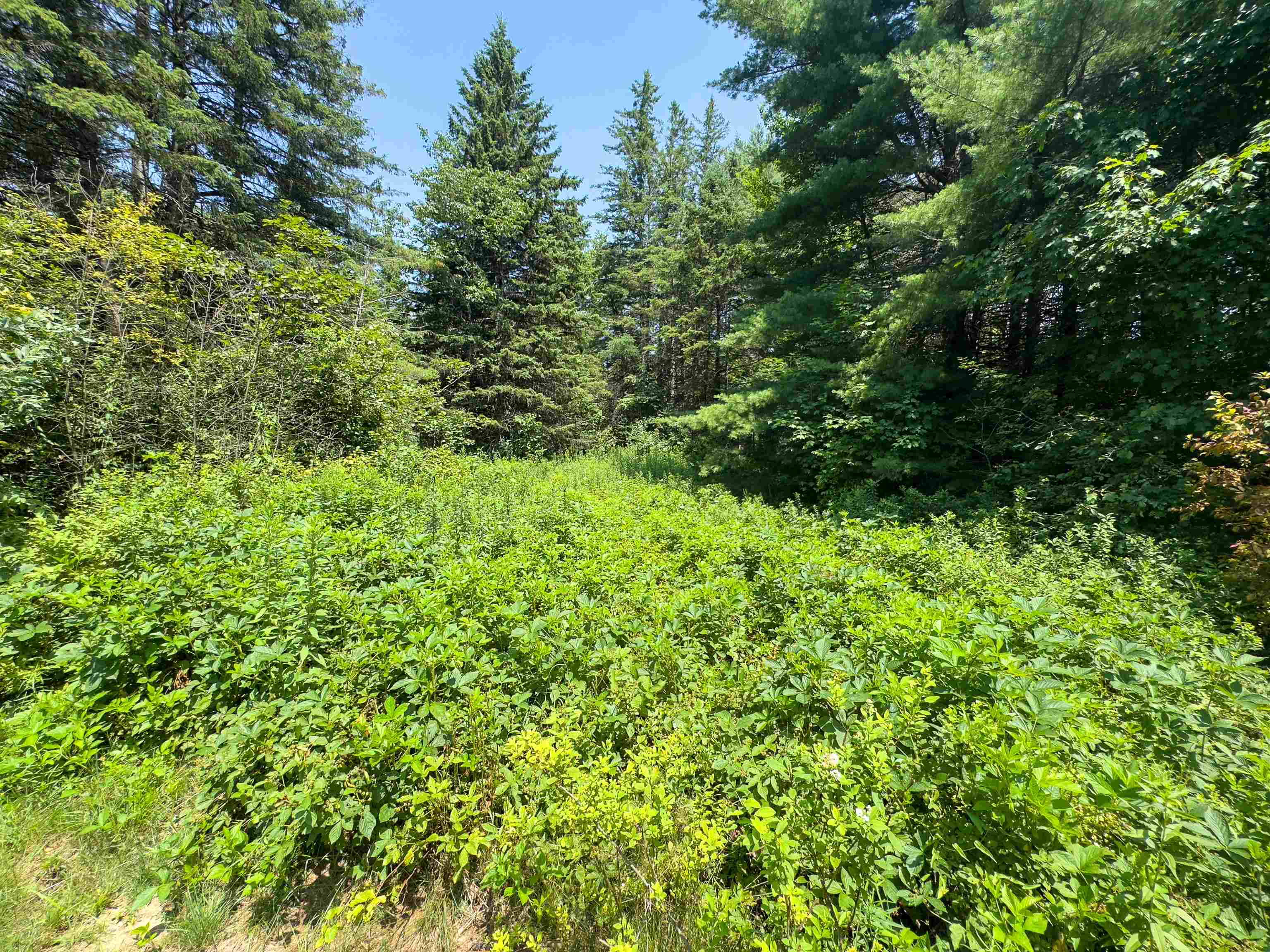 31 Privacy Lane Concord, VT 05824 - Photo 4 of 11