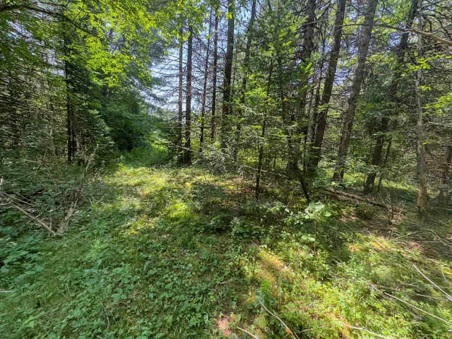 $114,900 | 31 Privacy Lane, Concord, VT 05824