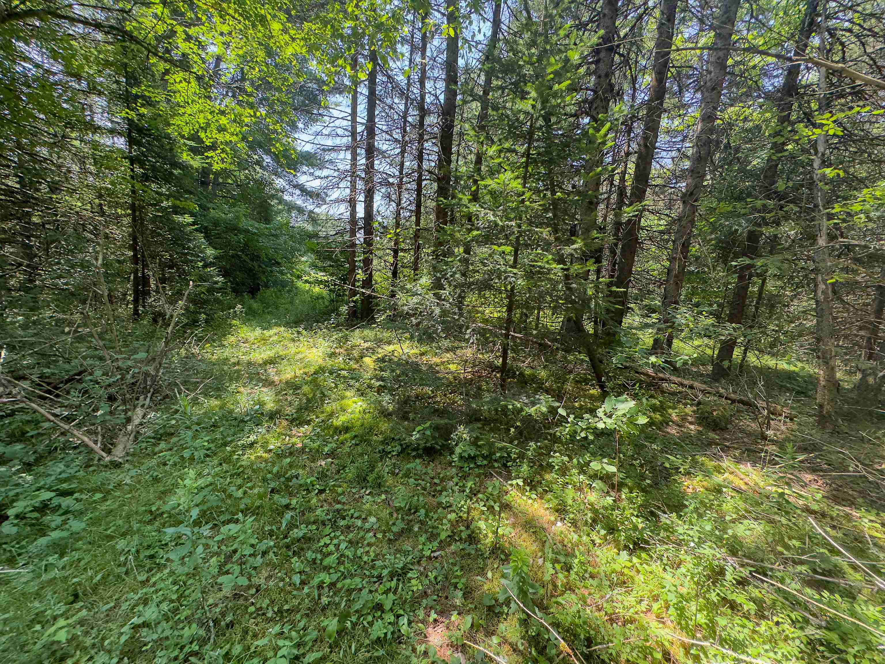 31 Privacy Lane Concord, VT 05824 - Photo 5 of 11