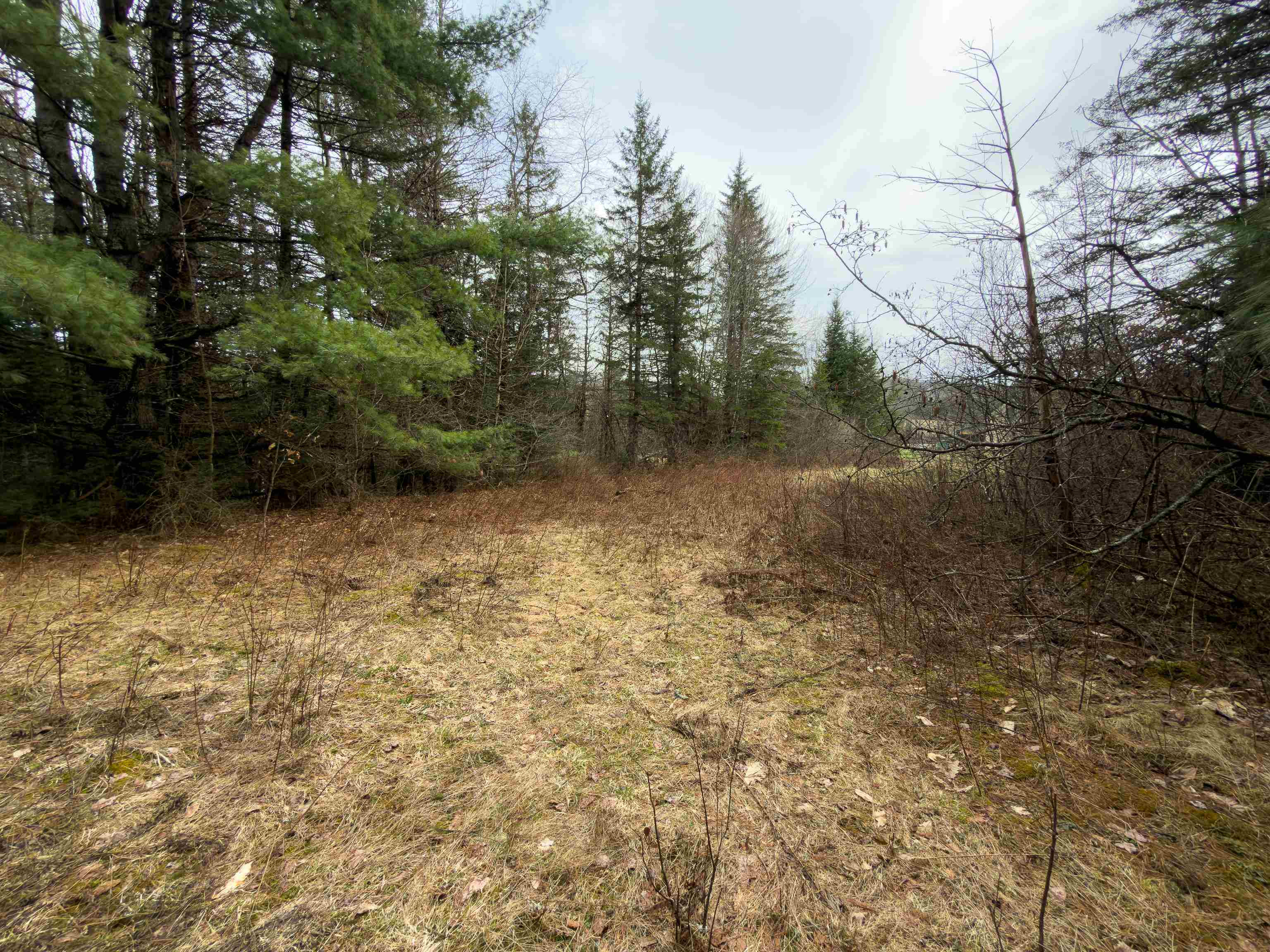 31 Privacy Lane Concord, VT 05824 - Photo 7 of 13