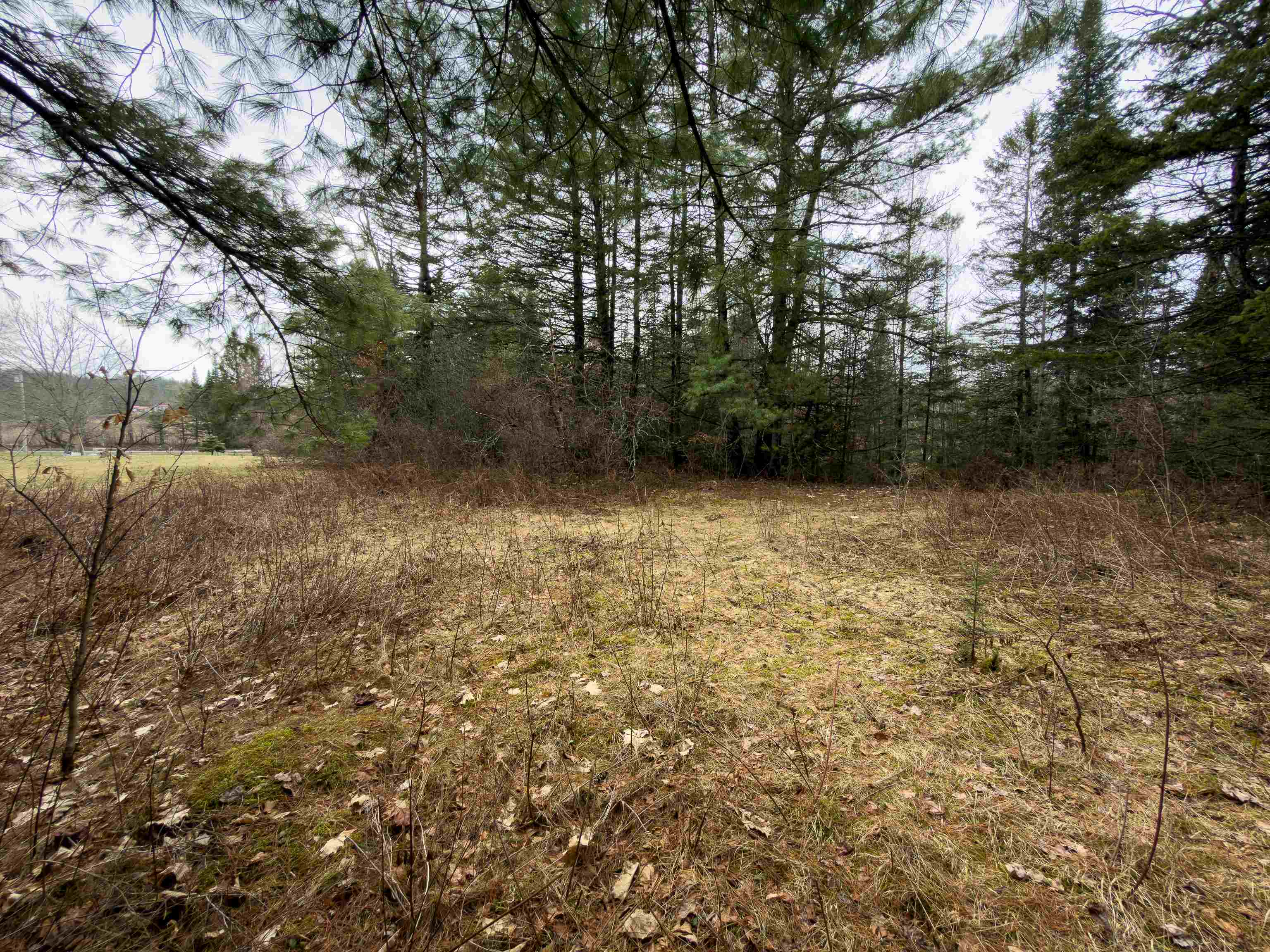 31 Privacy Lane Concord, VT 05824 - Photo 8 of 13