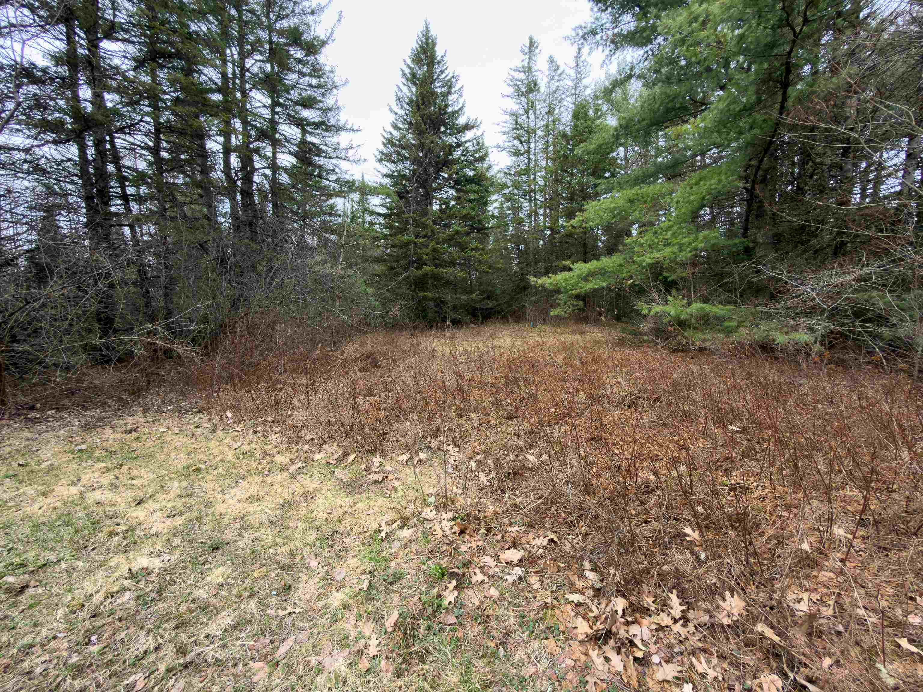 31 Privacy Lane Concord, VT 05824 - Photo 9 of 13