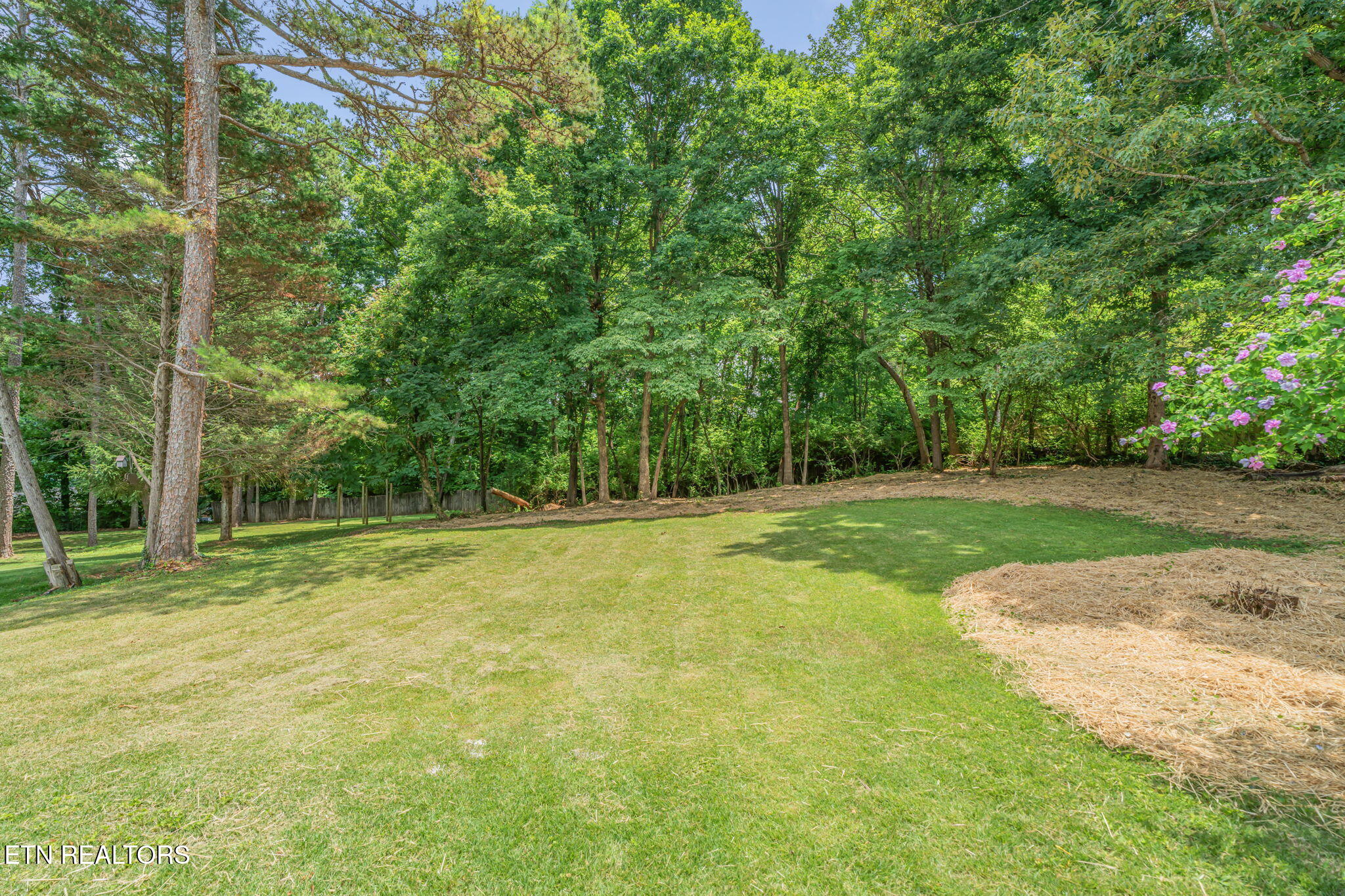 10008 Bluegrass Road Knoxville, TN 37922 - Photo 39 of 43 39-web-or-mls-10008 Bluegrass Road-39