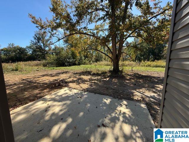 300 Mcgowan Road Wilsonville, AL 35186 - Photo 16 of 17 Gallery Image 16