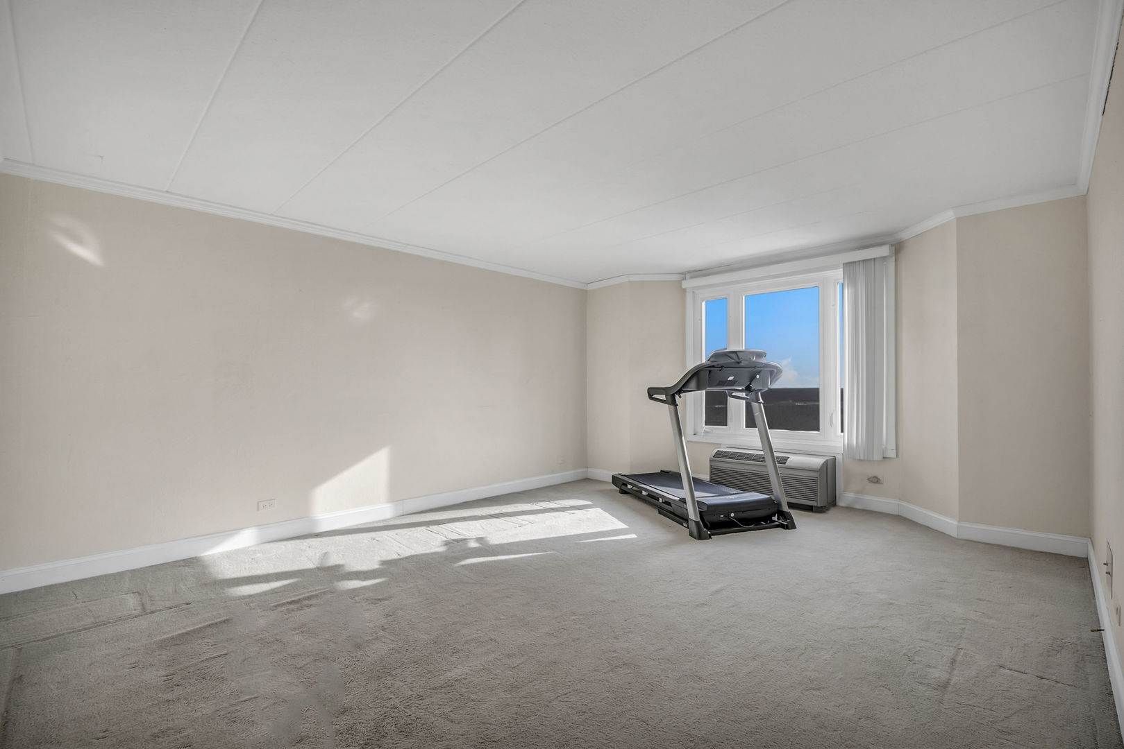 1 Renaissance Place, Unit 911 Palatine, IL 60067 - Photo 8 of 17 a room with a window and gym equipment