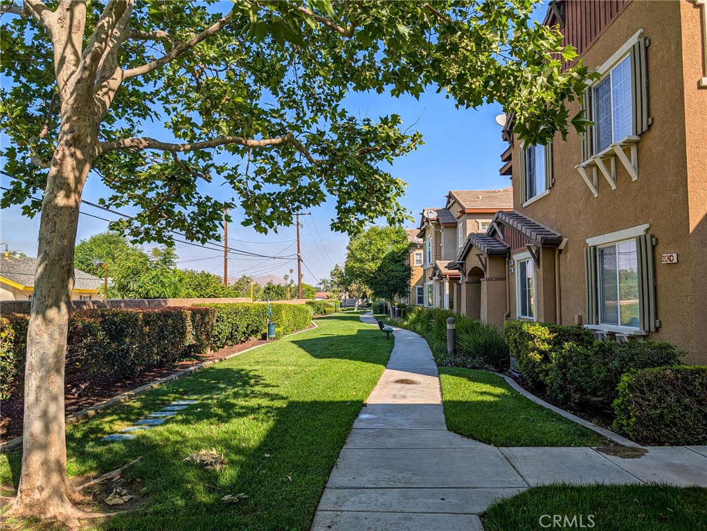 3924 Polk Street, Unit E Riverside, CA 92505 - Photo 18 of 22 a view of yard in front of house with yard