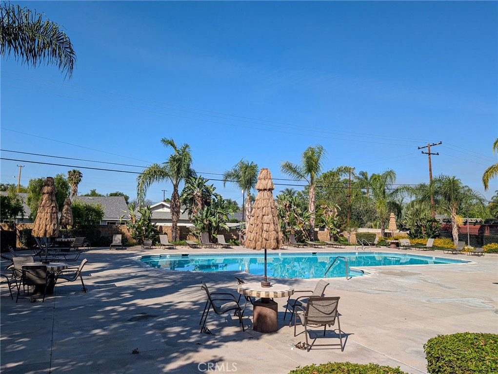3924 Polk Street, Unit E Riverside, CA 92505 - Photo 19 of 22 a lawn chairs sitting in a yard with swimming pool