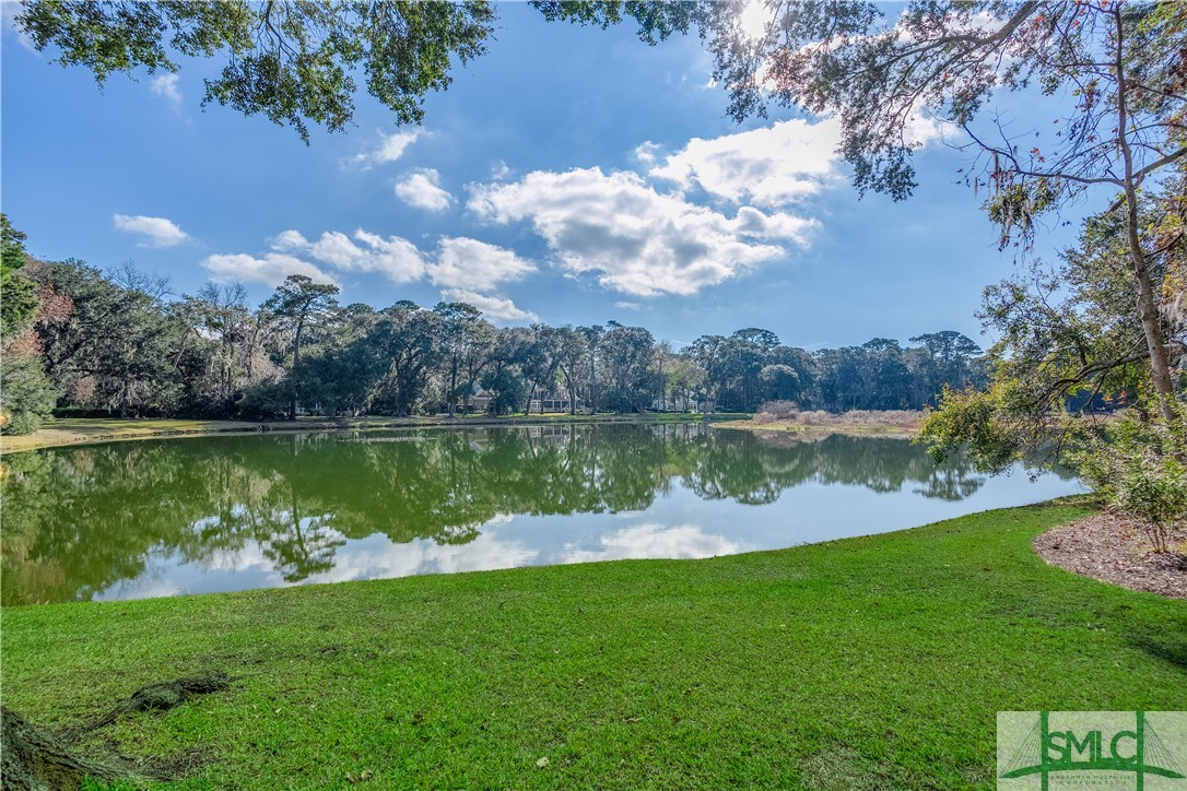 3 Springfield Place Savannah, GA 31411 - Photo 48 of 48