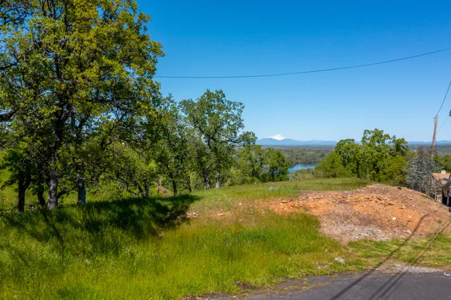 a view of yard with green space