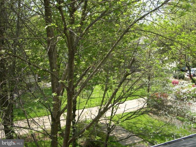 5318 Broad Branch Road Northwest Washington, DC 20015 - Photo 6 of 10 Aerial View