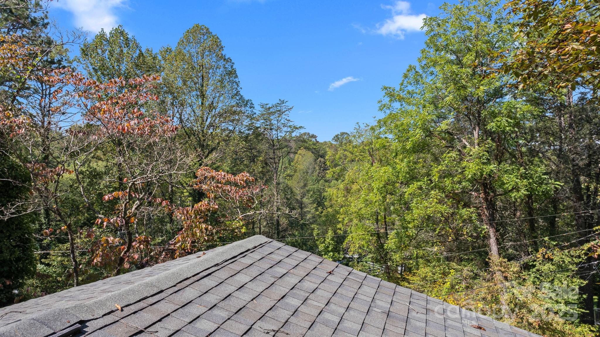 30 Maxies Corner Road Franklin, NC 28734 - Photo 29 of 33 a view of a backyard of the house