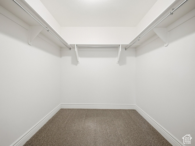 1288 North Horizon View Loop Elk Ridge, UT 84651 - Photo 15 of 38 Walk-in closet with carpet flooring, white walls, and built-in shelving with hanging rods