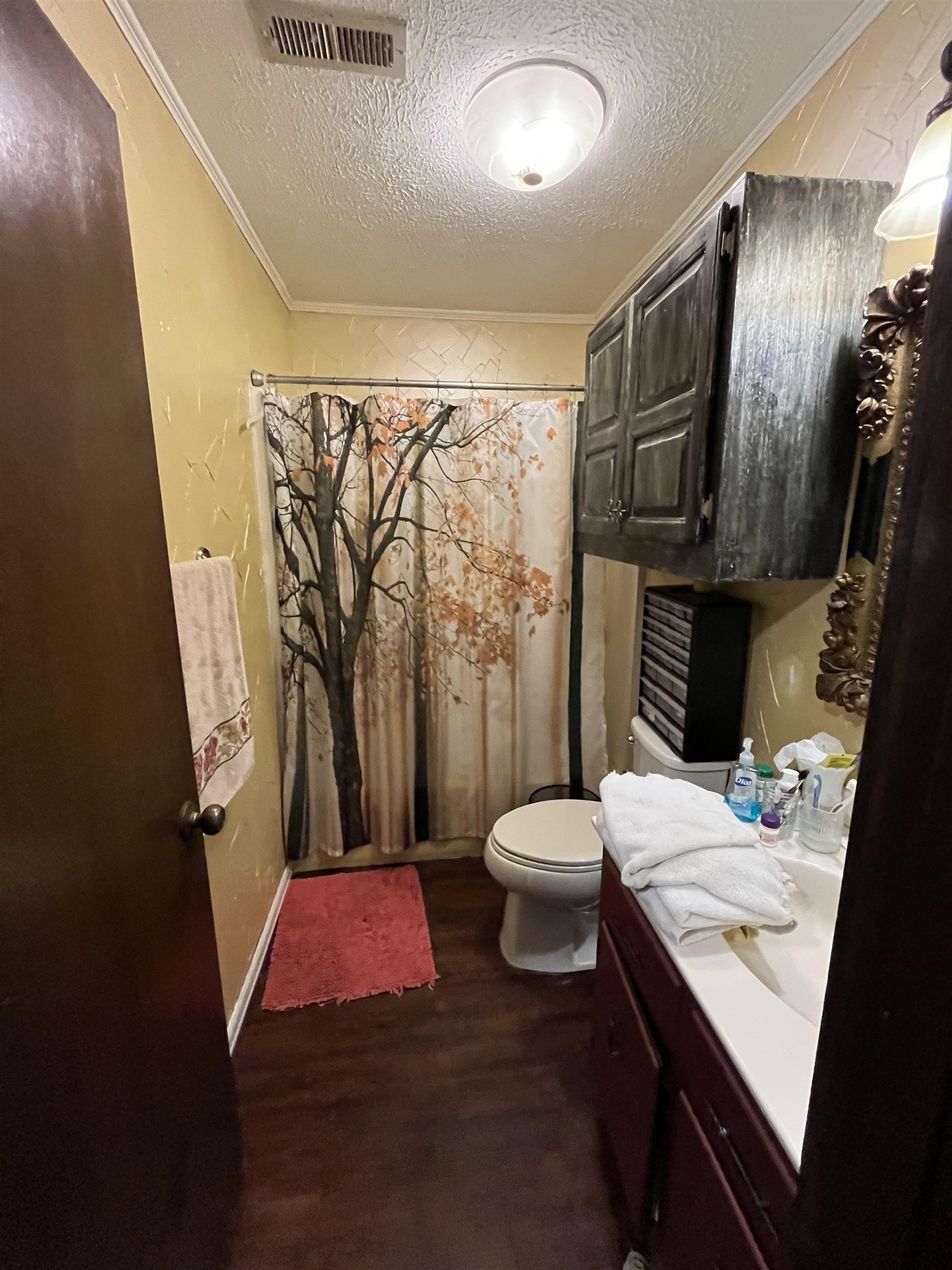1125 Tyson Road Toone, TN 38381 - Photo 11 of 12 Bathroom featuring dark wood-finish flooring, a white toilet, and a vanity with an integrated sink