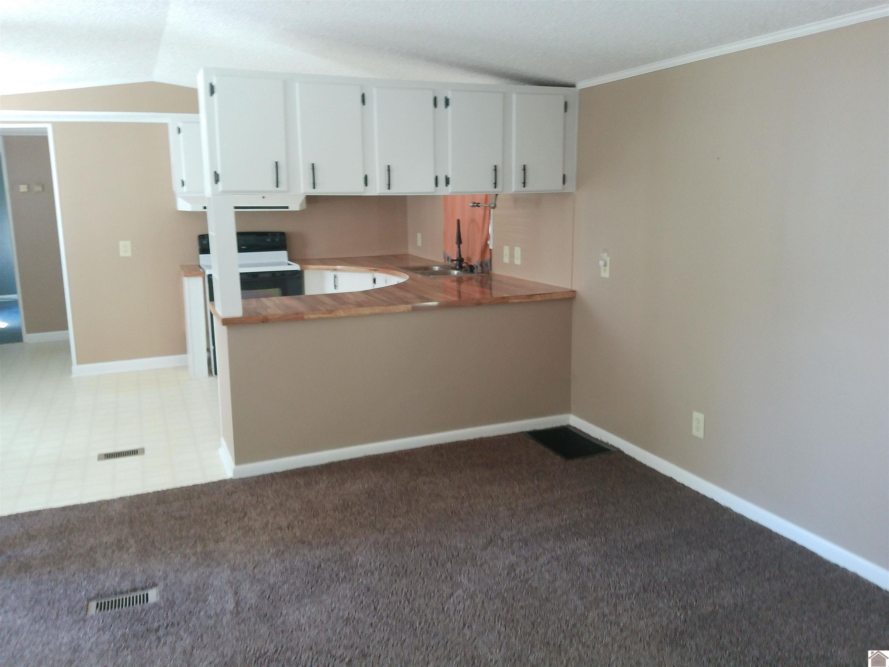 2825 Hines Road Paducah, KY 42001 - Photo 8 of 31 Photo 8