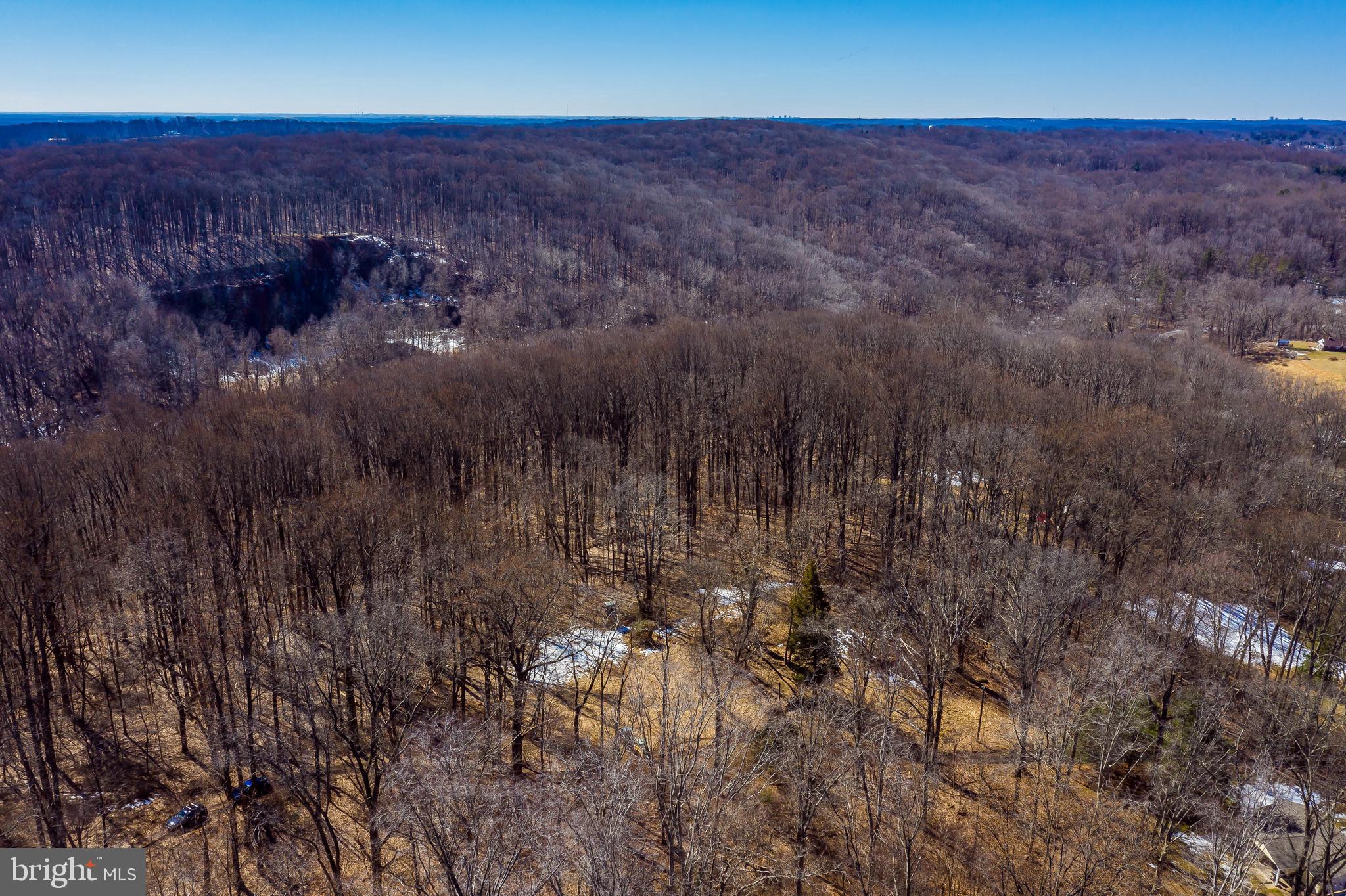 3013 Harford Road Fallston, MD 21047 - Photo 18 of 19 a view of a dry yard