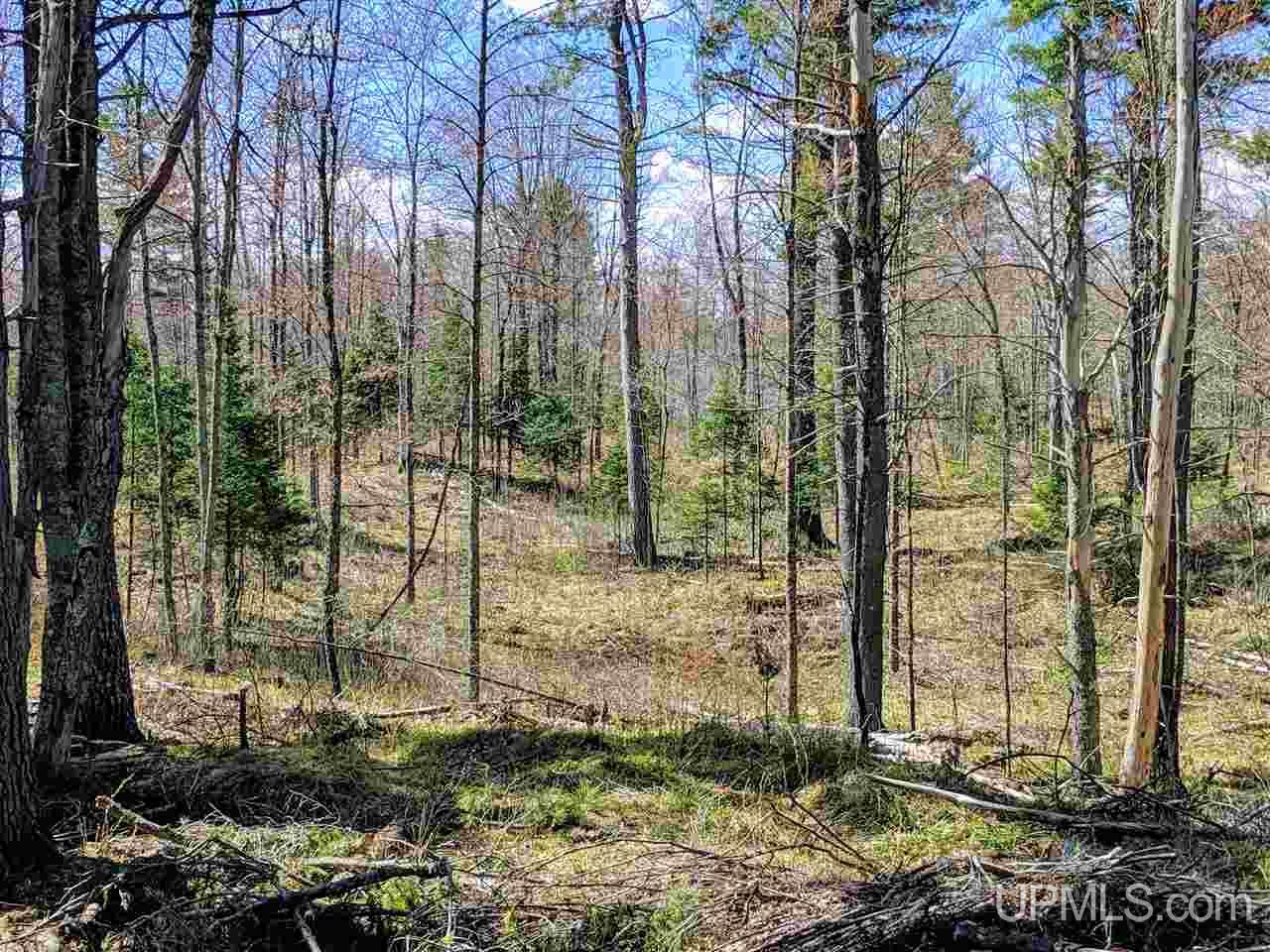 20-acres Ottawa Lake Road Iron River, MI 49935 - Photo 1 of 11