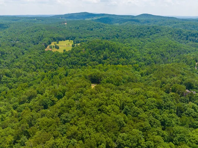 a view of a big yard with large trees