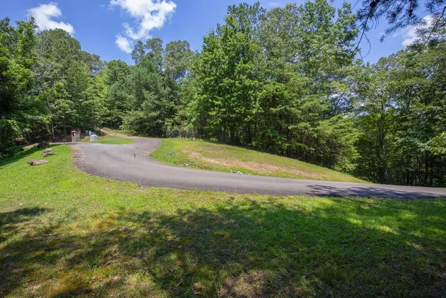 a view of a lush green forest with trees and some houses