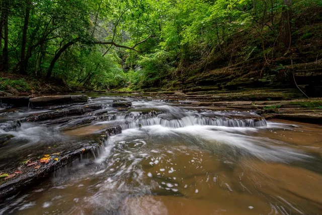 a backyard of a house with barbeque oven