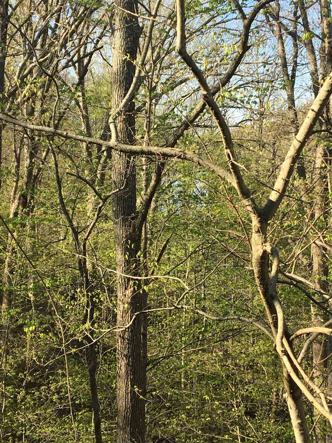 9114 South Pointe Ridge Lane Bloomington, IN 47401 - Photo 21 of 25