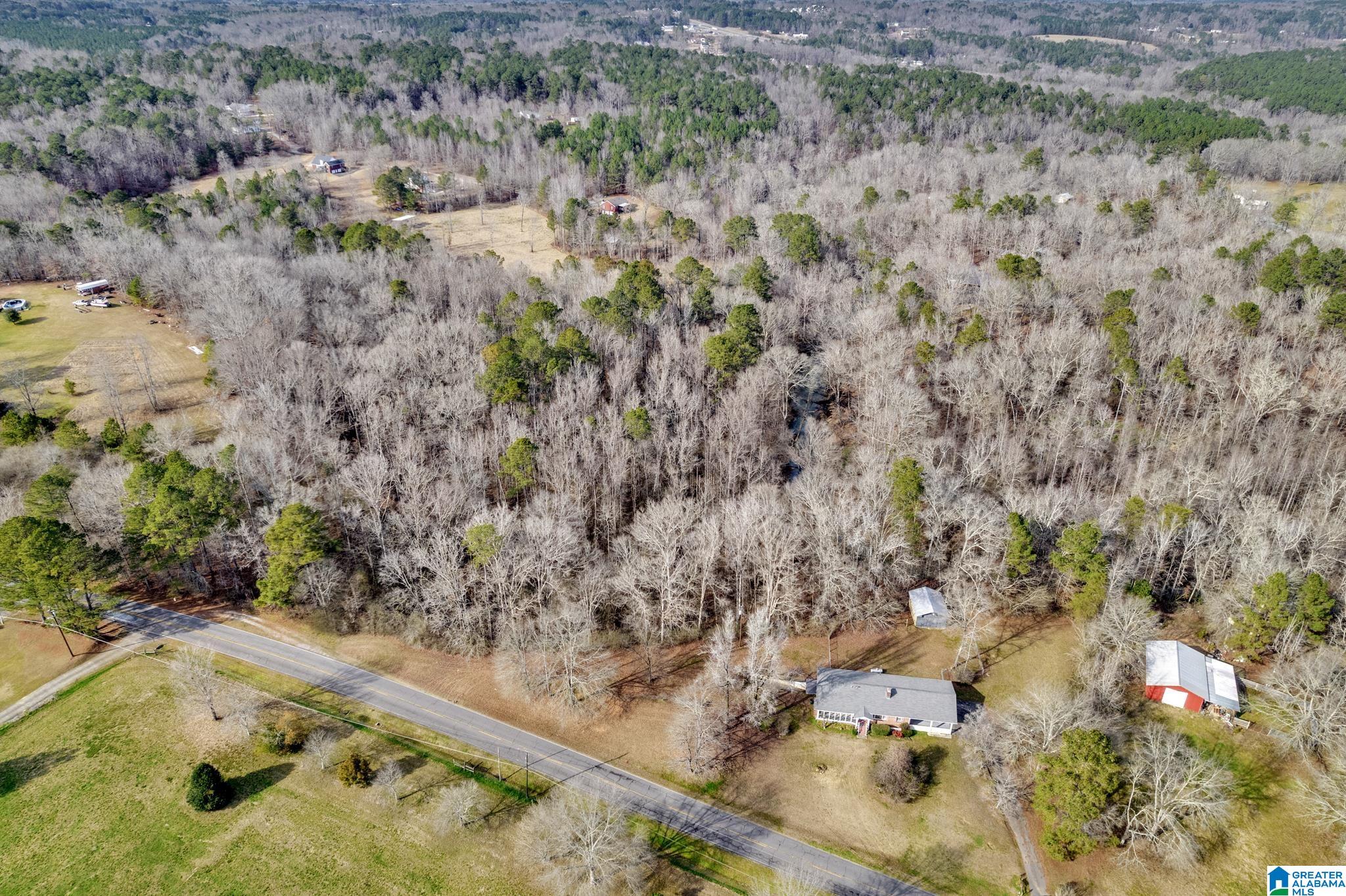 4981 Snowville Brent Road Dora, AL 35062 - Photo 31 of 36 Gallery Image 31