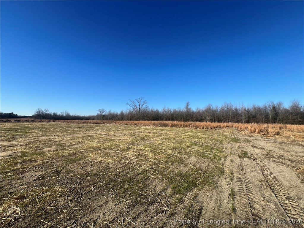 4075 Blue Springs Red Springs, NC 28377 - Photo 28 of 28 a view of an ocean from a yard