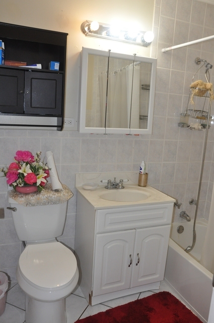 8900 David Place, Unit 1F Des Plaines, IL 60016 - Photo 13 of 13 a bathroom with a toilet sink and mirror