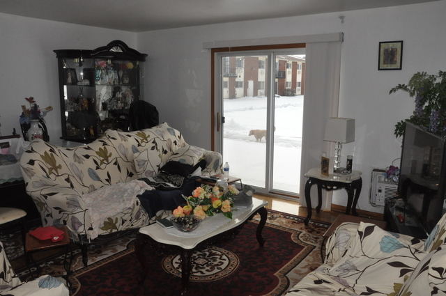 8900 David Place, Unit 1F Des Plaines, IL 60016 - Photo 4 of 13 a living room with furniture and a flat screen tv