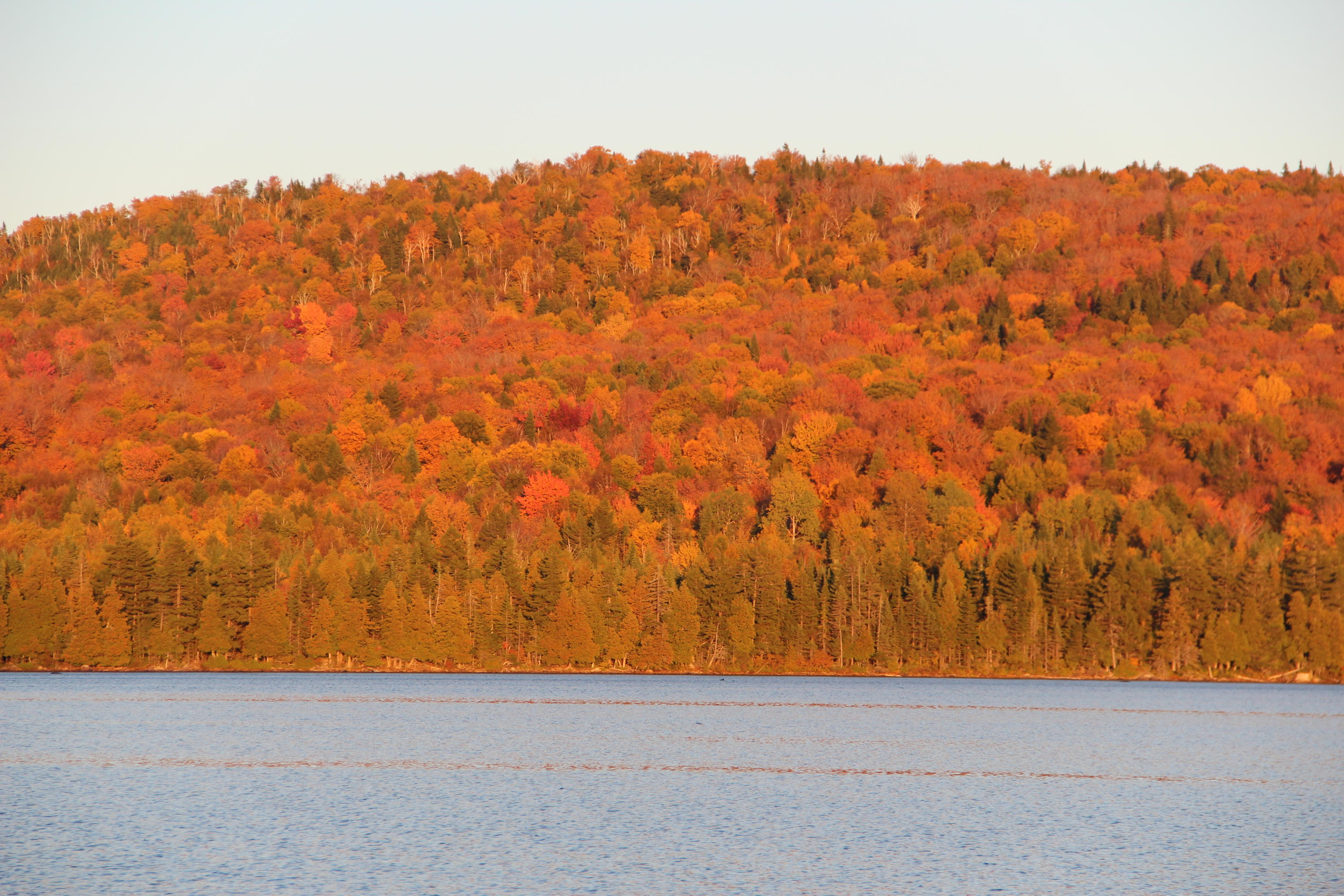 10 Racoon Lane West Forks, ME 04985 - Photo 19 of 44 fall-view-to-the-west_47842902021_o