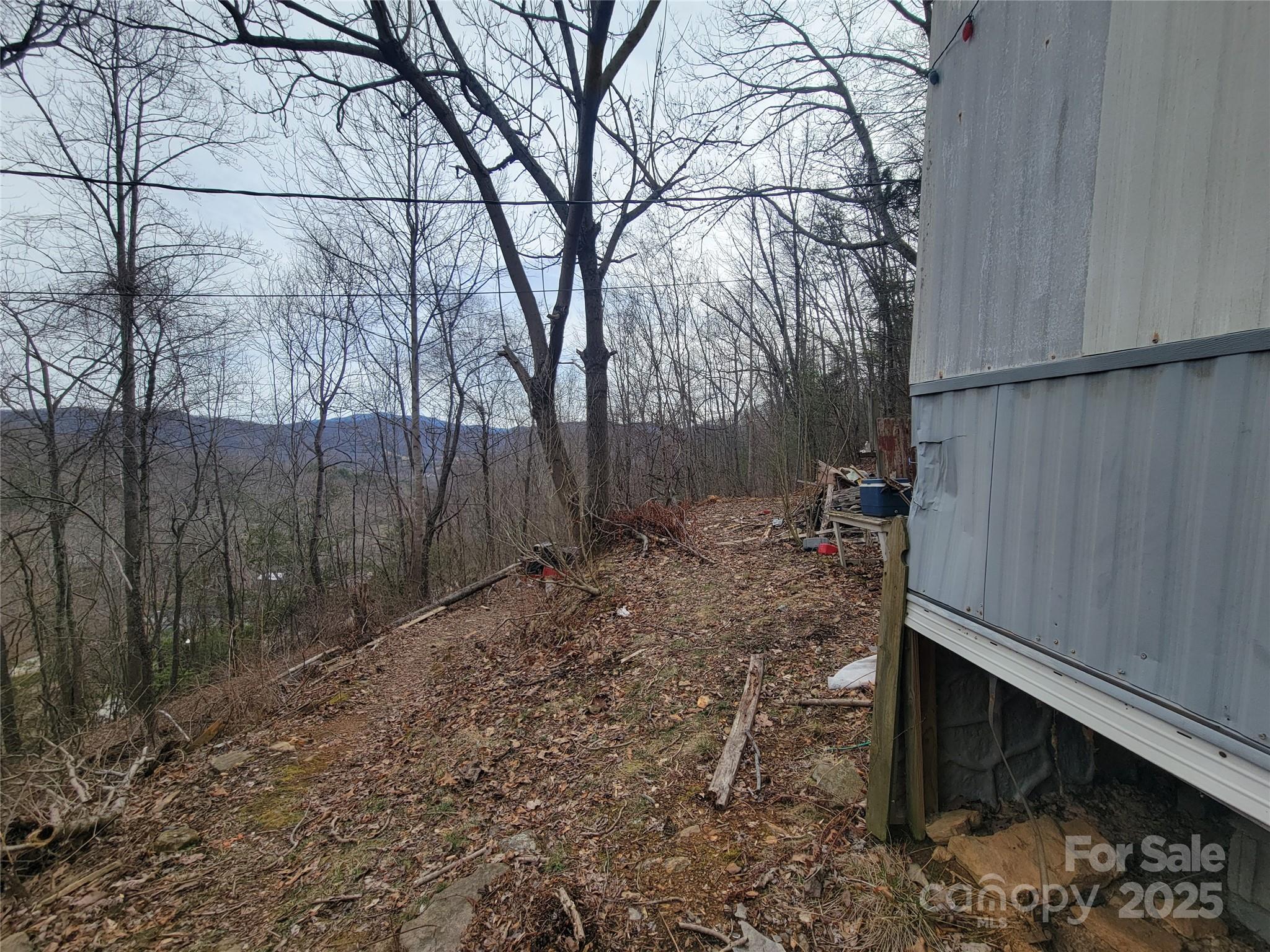 1851 Chambers Mountain Road Clyde, NC 28721 - Photo 3 of 22