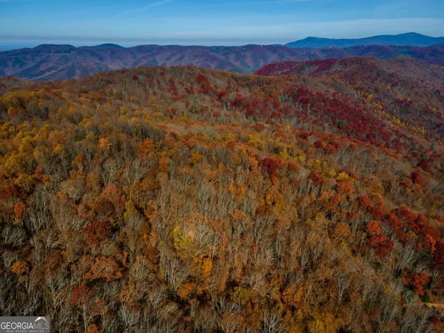 a view of city and mountain