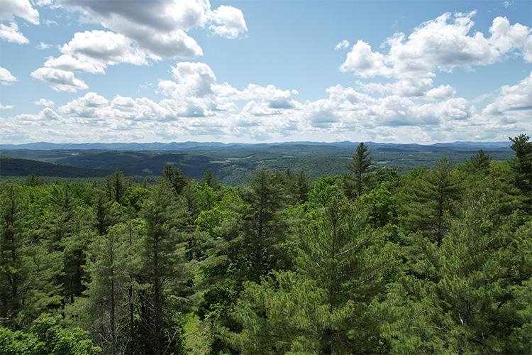 0 Taylor Hill Road Brookfield, VT 05036 - Photo 1 of 25