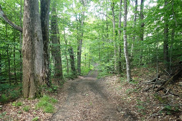 0 Taylor Hill Road Brookfield, VT 05036 - Photo 15 of 25