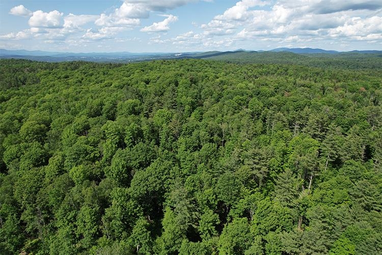 0 Taylor Hill Road Brookfield, VT 05036 - Photo 20 of 25