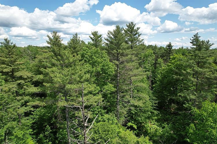 0 Taylor Hill Road Brookfield, VT 05036 - Photo 2 of 25