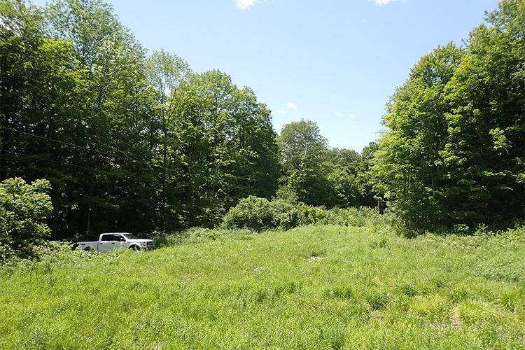 0 Taylor Hill Road Brookfield, VT 05036 - Photo 3 of 25