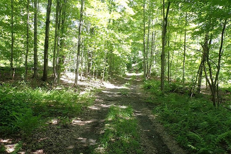 0 Taylor Hill Road Brookfield, VT 05036 - Photo 9 of 25