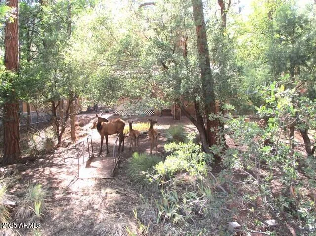 a backyard of a house with a yard and outdoor seating
