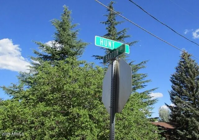 a view of a flower in a garden