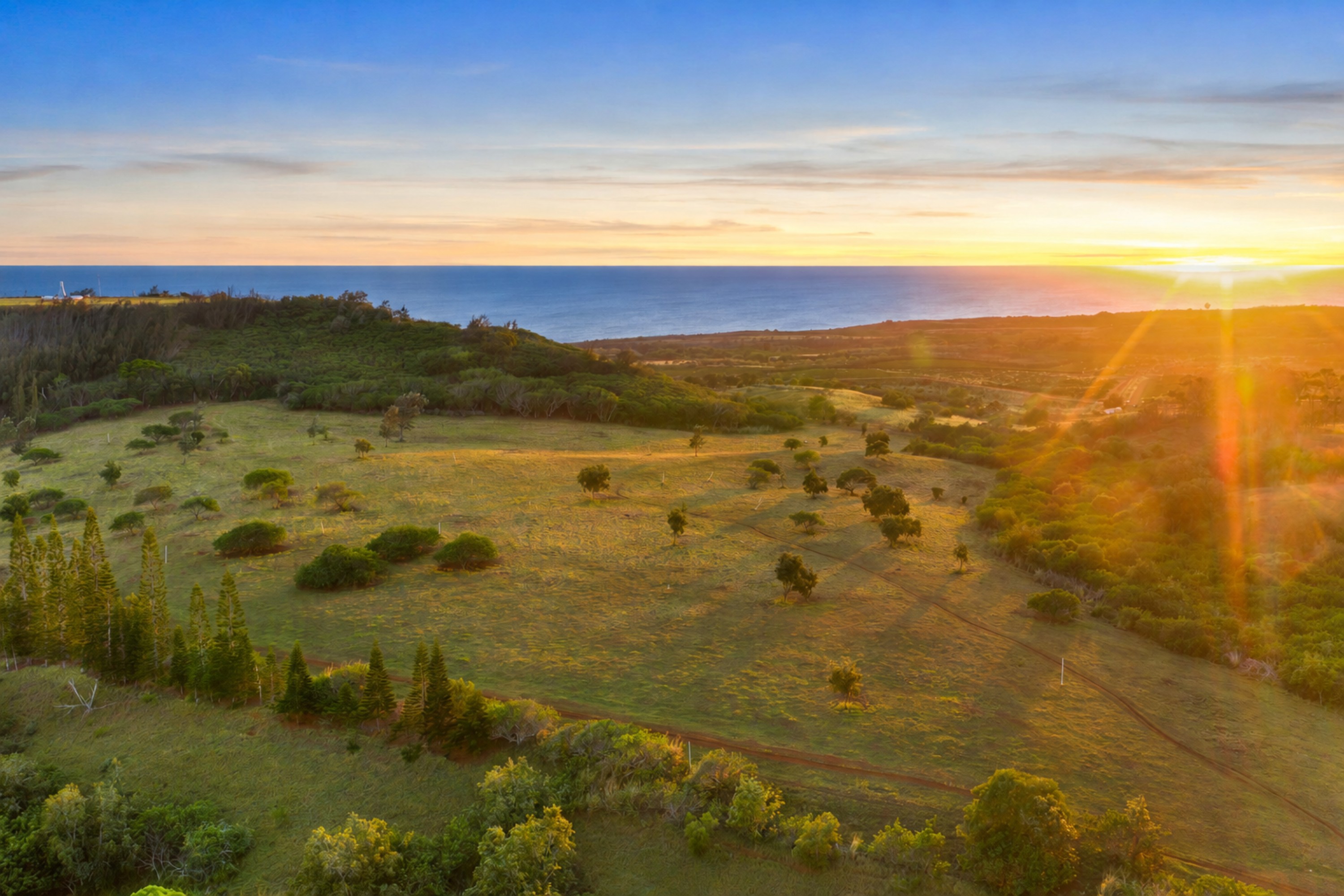 3 Lot 150 Lolo Road Kalaheo, HI 96741 - Photo 8 of 11