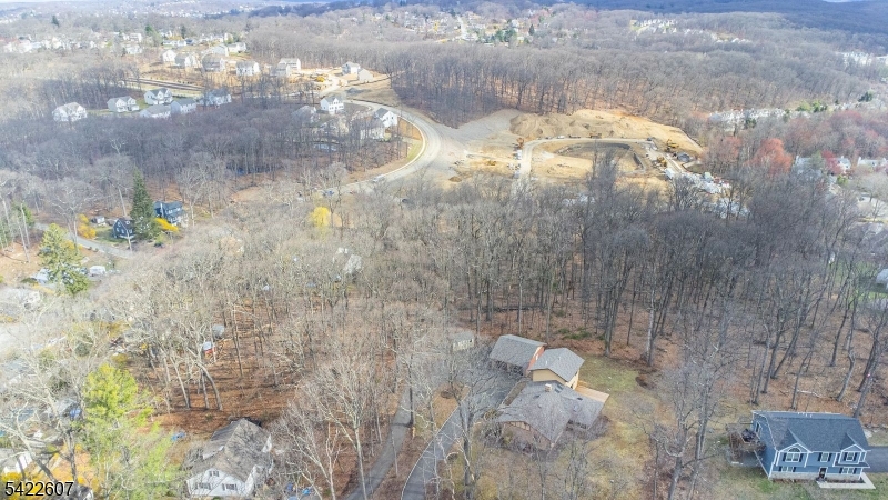 3 Maple Path Mount Arlington, NJ 07856 - Photo 28 of 32