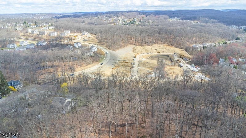 3 Maple Path Mount Arlington, NJ 07856 - Photo 29 of 32