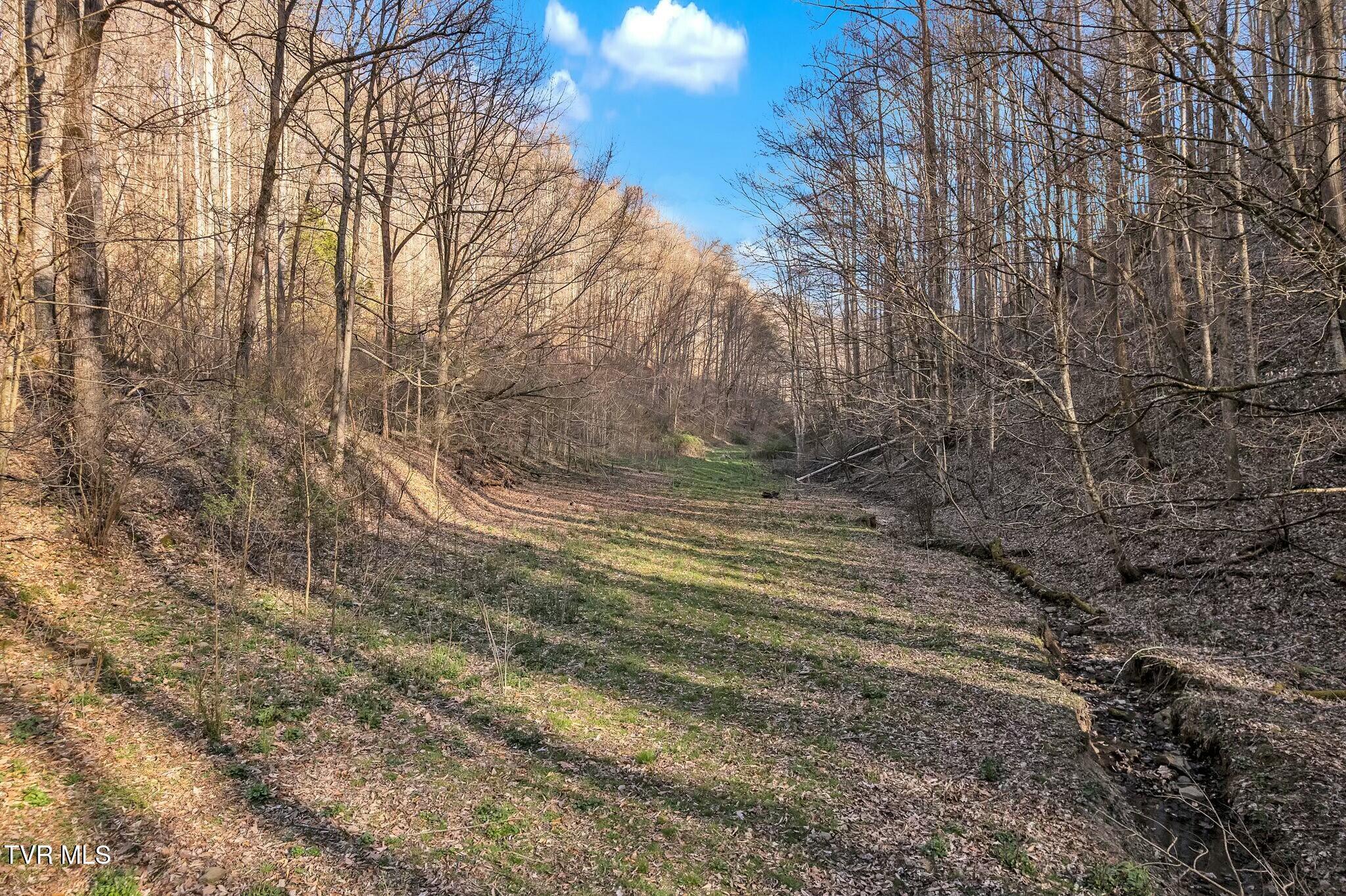 736 Shelleys Road Bristol, VA 24202 - Photo 11 of 82 tempImageyIEZL8